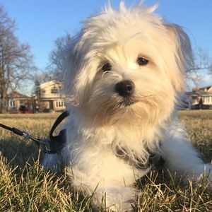 Meet your Posher, Michelle